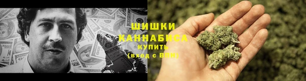 ECSTASY Бронницы