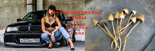 прущая мука Богородск