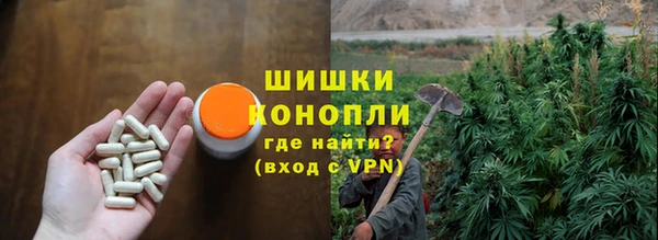 спайс Богородицк